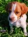 Available 
#2 female
