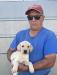 Available!  8 week old yellow male!