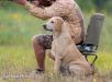The pup’s Sire!