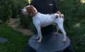 Turkey Creek O’Dee Cooper’s Ozark Traveler Ned picture