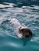 1st time swimming and couldn't get enough kept jumping back in