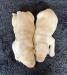 Males pictured at 10 days of age!