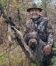 Sam, is the grandpa on the mothers side of the family. Sam is a gentle dog that excels with waterfowl. Weather is no problem with Sam.


