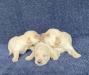 1 female and 2 males