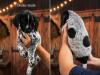 Smart pup. Really cool face marking. 
