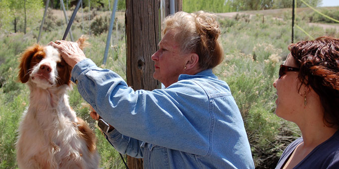 Fay Walker teaches a dog grooming class