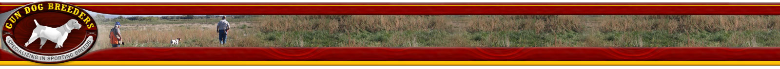 Gun Dog Breeders - Breeder listings specializing in sporting dogs