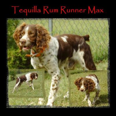 Tequilla Rum Rnner Max