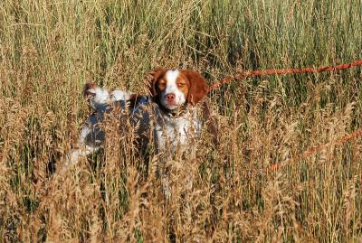 Annabella's Sister Suzy