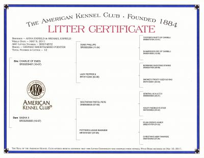 enfield german shorthairs