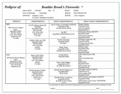 Boulder Brook's Fireworks SR JR