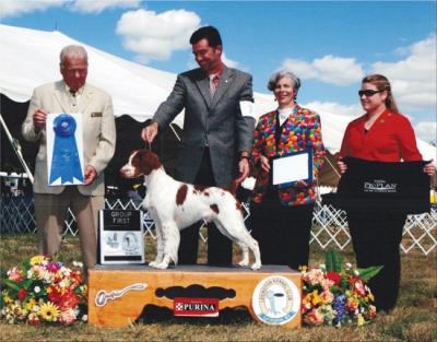 Best In Show GCH Shelttany Against All Odds