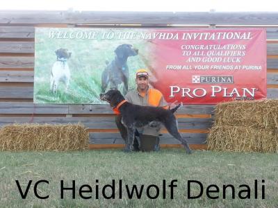 HEIDLWOLF  DENALI