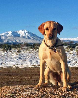 Colorado Serenity Kaylee