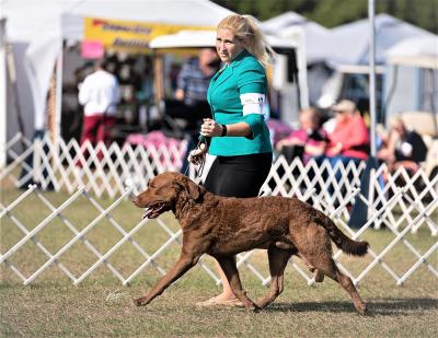 GCH CH Whispering Oak Copper Ridge