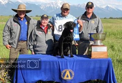 2011 NAFC FC AFC CODY CUT A LEAN GRAD