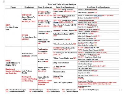 River/Vader Breeding