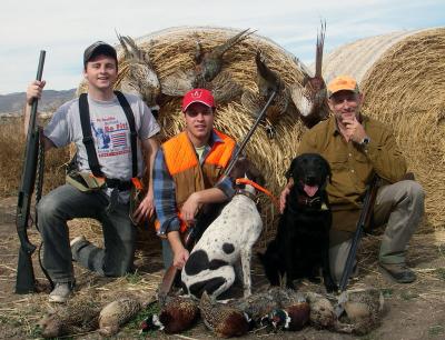 Rooster Valley Pheasants