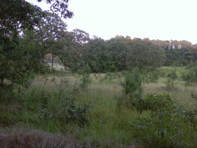 Sage Valley Upland Game