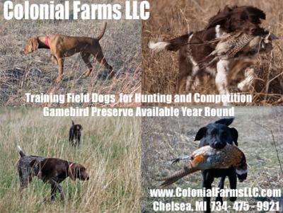 Colonial Farms Gamebird Preserve/Field Dog Trainin