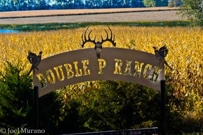 Double P Ranch