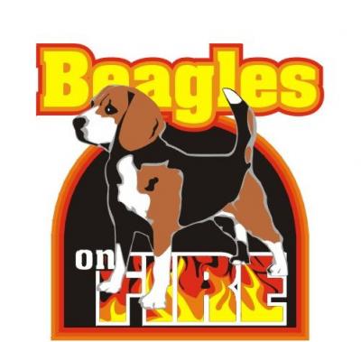 Beagles On Fire